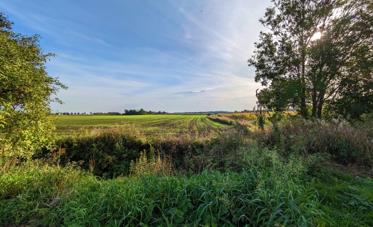 działka na sprzedaż - Kąty Wrocławskie (gw), Sadowice, Szkolna